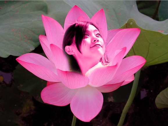 photoshop制作绚丽的花中少女效果合成图教程