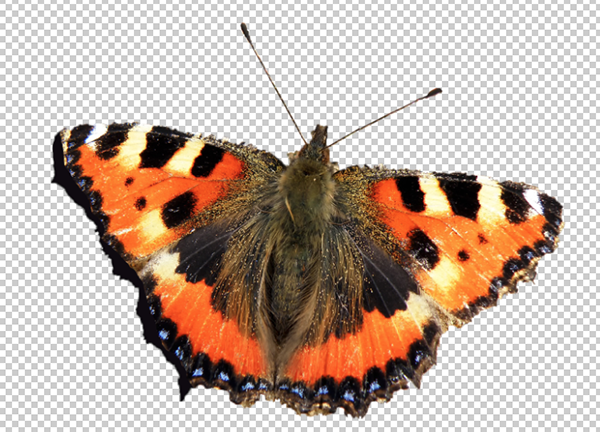 PhotoShop（PS）基础知识：蒙版的使用技巧实例教程