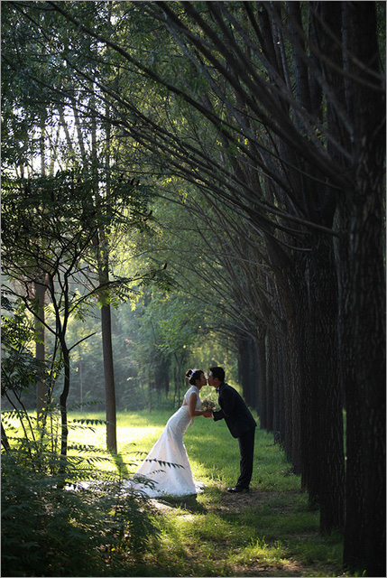 Photoshop为偏暗的树林婚片增加灿烂的阳光色彩,Ps教程自学网_PS抠图教程_photoshop基础入门教程-Ps窝