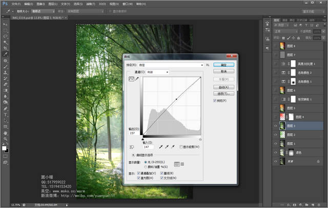 Photoshop为偏暗的树林婚片增加灿烂的阳光色彩,Ps教程自学网_PS抠图教程_photoshop基础入门教程-Ps窝