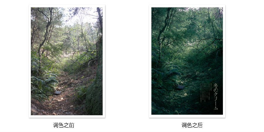 photoshop详细解析后期调色葵花宝典终极版