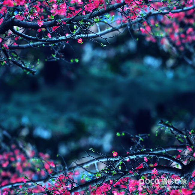 photoshop将风景图片的无缝对接及简单调色