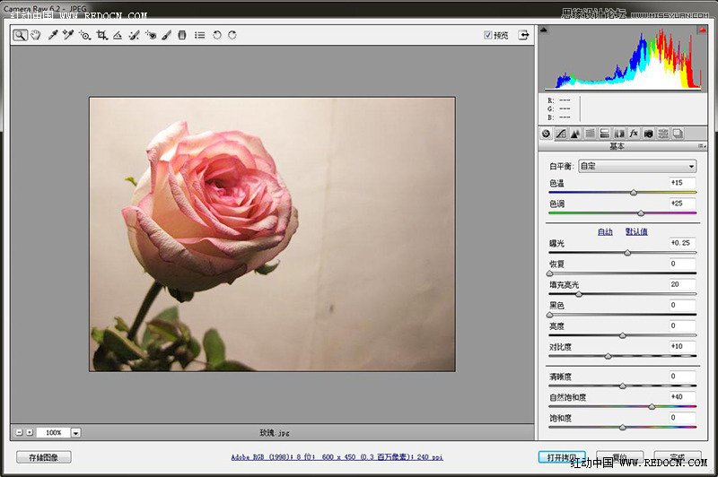 Photoshop利用Camera Raw和HDR动态渲染滤镜调出柔美清新的粉色玫瑰,Ps教程自学网_PS抠图教程_photoshop基础入门教程-Ps窝