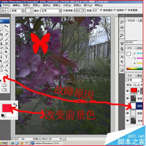 PS油漆桶不能用了怎么办？ 解决ps油漆桶不能使用的七种方法