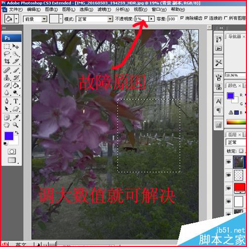 PS油漆桶不能用了怎么办？ 解决ps油漆桶不能使用的七种方法