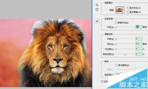 ps cs5抽出滤镜在哪？ ps抽出滤镜的使用教程