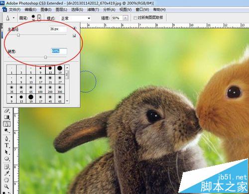 PS中模糊工具该怎么使用？ ps模糊工具的使用实例教程
