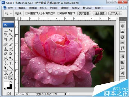 ps怎么自定义旋转图片？ ps旋转图片的教程