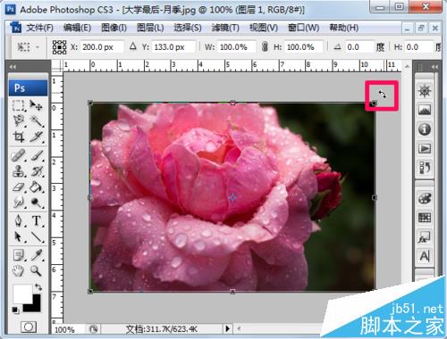 ps怎么自定义旋转图片？ ps旋转图片的教程