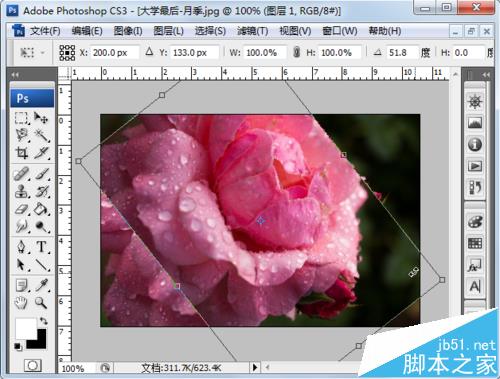 ps怎么自定义旋转图片？ ps旋转图片的教程