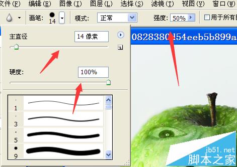 ps中模糊工具怎么使用？ ps使用模糊工具处理图片的教程