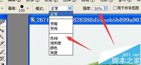 ps中模糊工具怎么使用？ ps使用模糊工具处理图片的教程