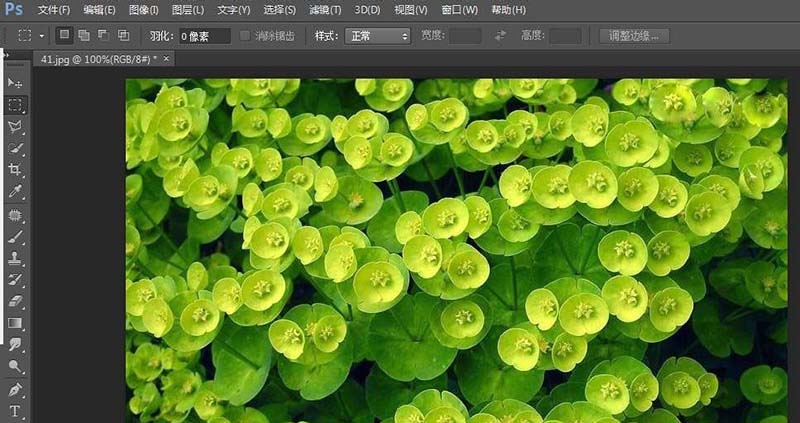 ps怎么复制粘贴图片部分内容?