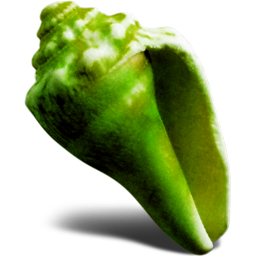 ��ɫ����