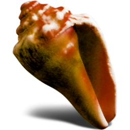 ��ɫ����