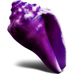 ��ɫ����