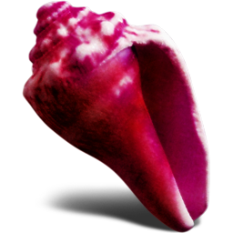 ��ɫ����