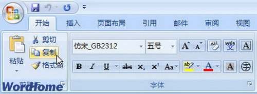 在word2007中进行复制,剪切和粘贴操作