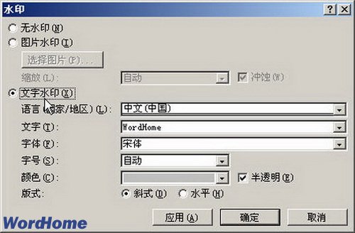 word2007怎么加水印_在Word2007文档中插入