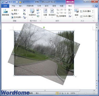 在word2010文档中旋转图片