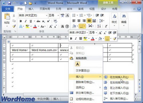 选择插入行或插入列命令
