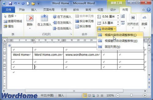 设置表格自动调整方式
