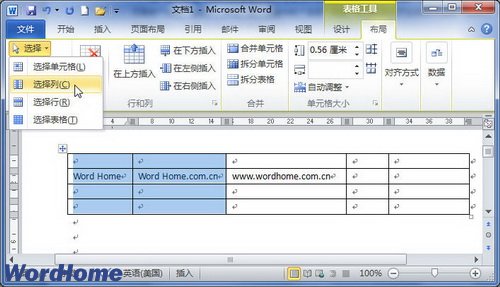 选择行或选择列