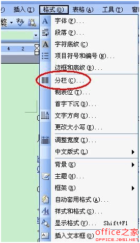 WPS文档如何分栏即在文档中插入一条竖线将一页分为二栏(图2)