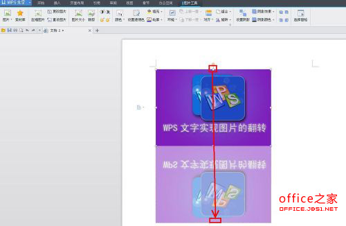 WPS技巧：WPS文字实现图片的翻转