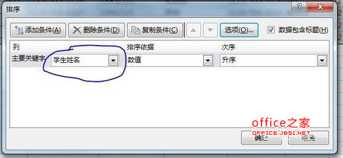 Excel2013怎么按照姓氏笔画顺序排列姓名默认