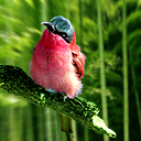 鼠标滑过缩略图时放大图片（纯Css）_经验交流