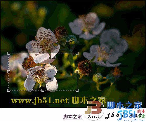 画像切り抜き用の JQuery Jcrop プラグイン_jquery