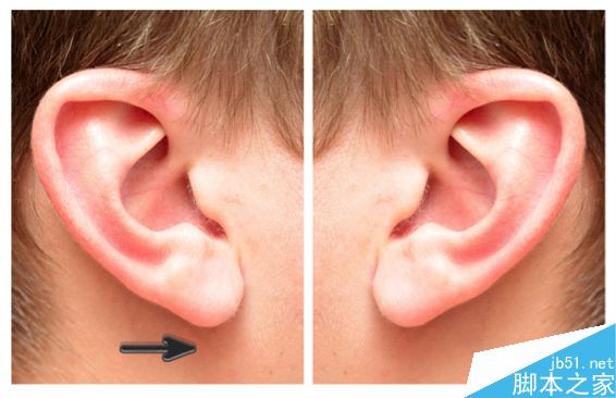 ps绘制一只逼真写实的耳朵