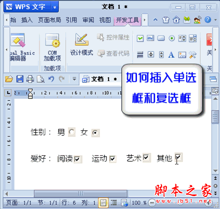 WPS文字技巧：如何插入单选按钮和复选框 脚本之家