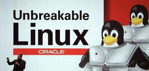 盘点十大最流行的Linux服务器发行版