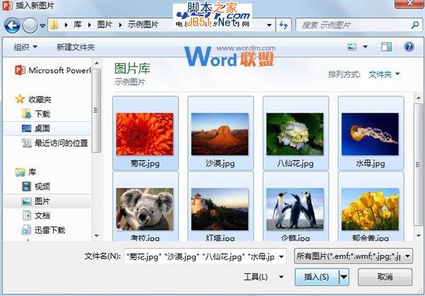 如何批量将图片快速导入到PowerPoint2013中