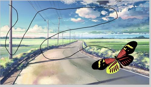 flash教程之引导线动画!