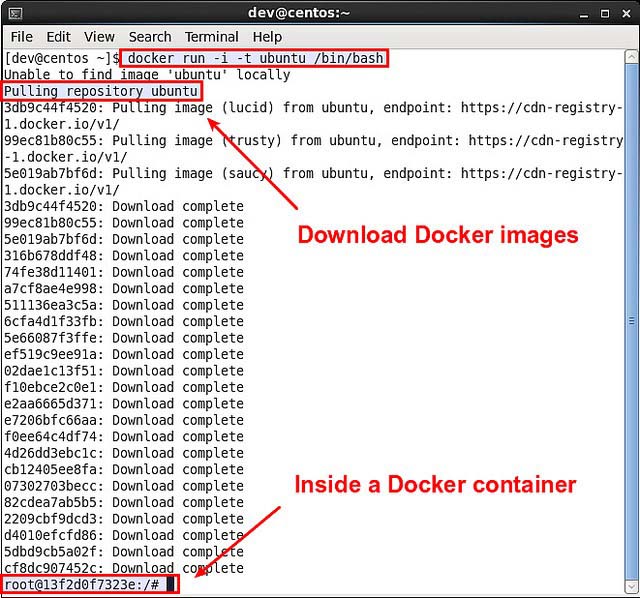 在CentOS或Fedora上运行Docker容器的方法与步骤