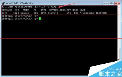 linux系统用什么命令查看端口的占用情况？