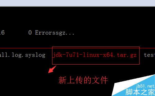linux系统怎么用SecureCRT上传和下载文件？