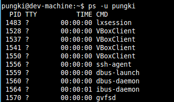 Linux系统中10个常用的ps命令总结