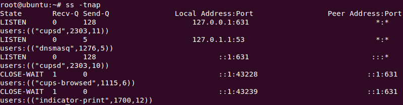 Linux中使用ss命令检查网络连接的方法