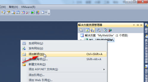 VS2010,新建站点