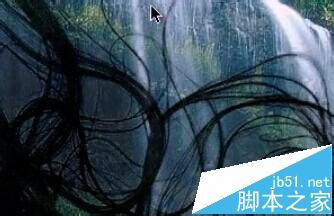 AE怎么抠图?AE键控中去除头发丝边缘的背景