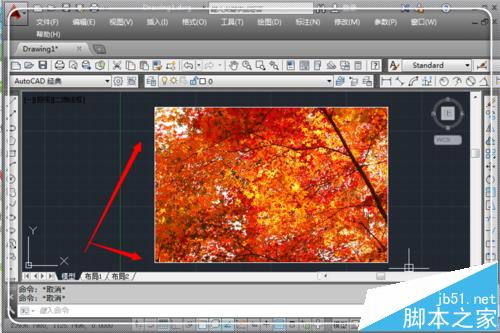 cad图片边框怎么去除? cad中插入图片取消边