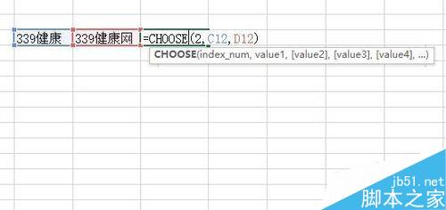 Excel中Choose函数如何使用？