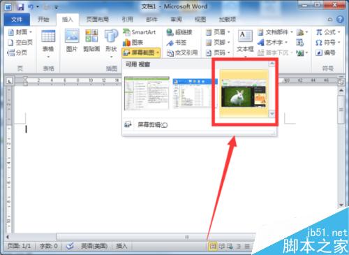 Word2010文档中屏幕截图功能插入图片