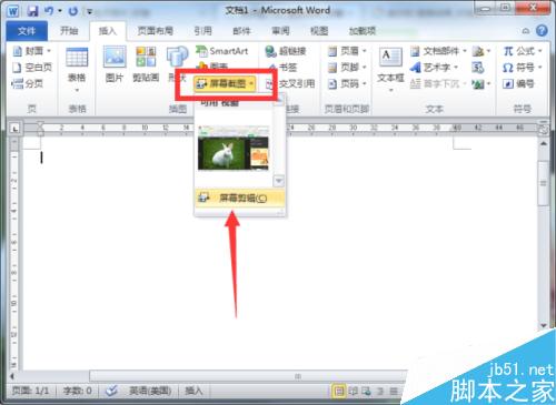 Word2010文档中屏幕截图功能插入图片