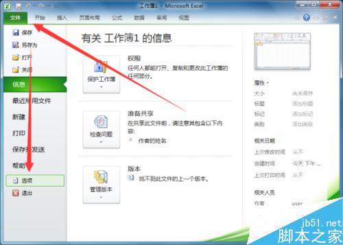 怎么在Exce2010工作表中添加“开发工具”选项卡