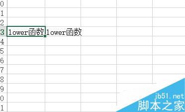 Excel中如何将文本转换为小写形式？